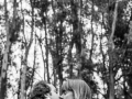 bodas2